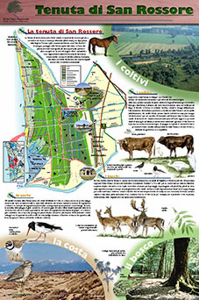 Parco di Migliarino Massaciuccoli San Rossore 52